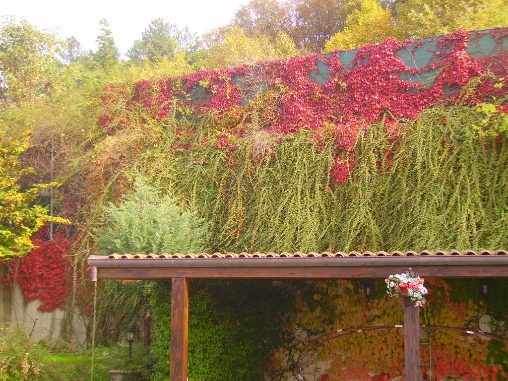 B&B Margherita Le Fiabe SantʼAgata Feltria Esterno foto