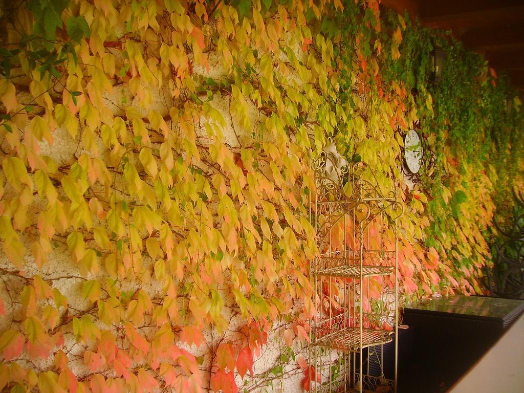 B&B Margherita Le Fiabe SantʼAgata Feltria Esterno foto